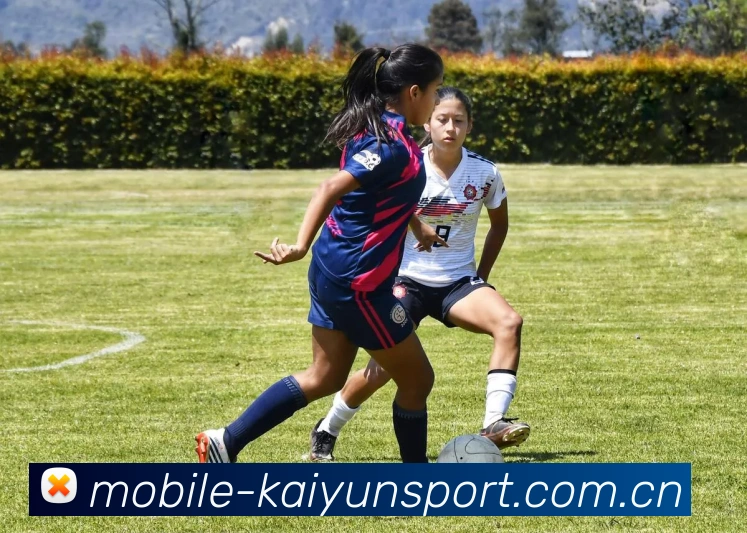 开云体育APP 封面图